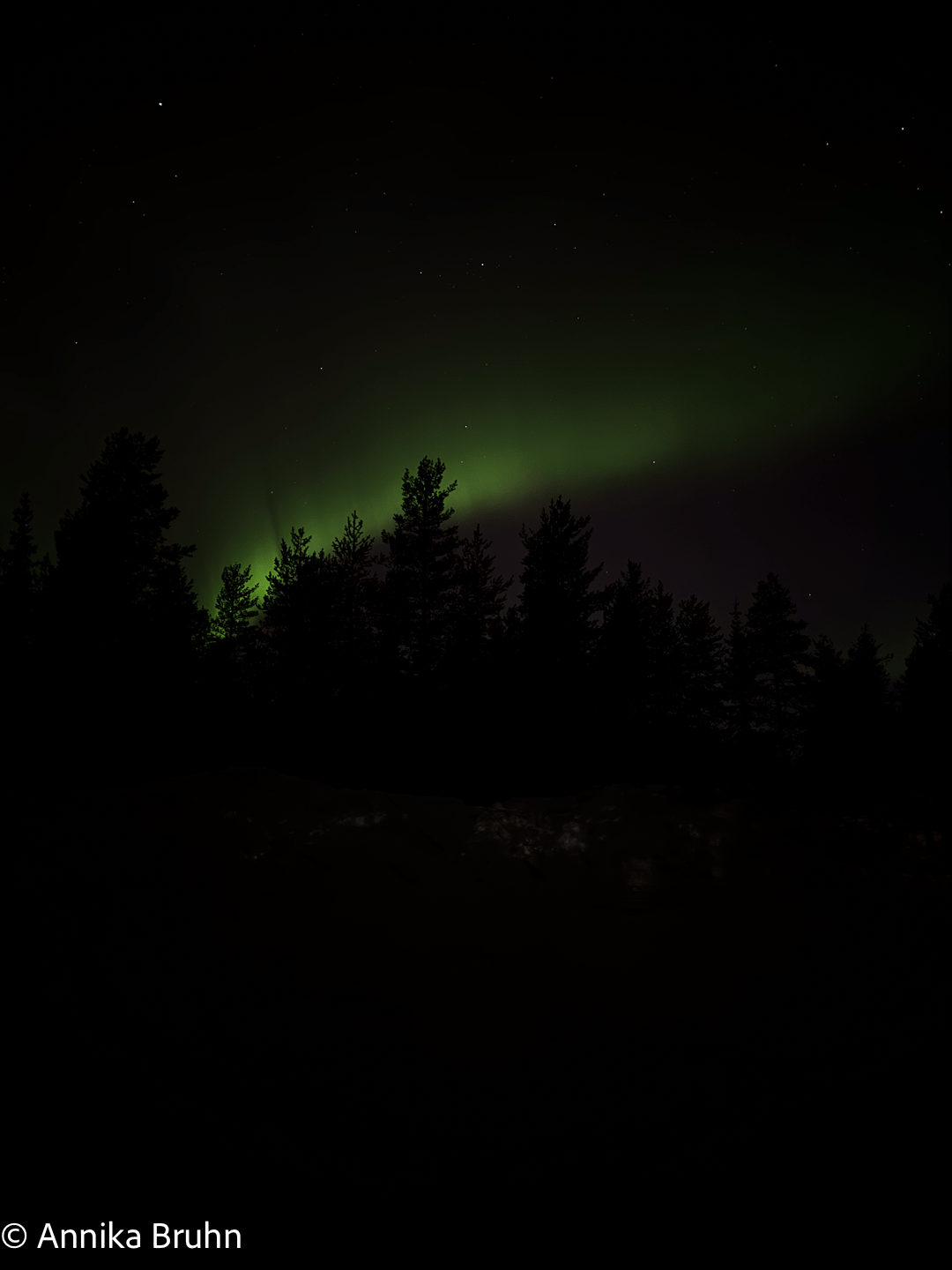 Unser erstes Polarlicht